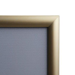 25mm Gold Snap frame profile