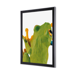 LED magnetic Poster Frame