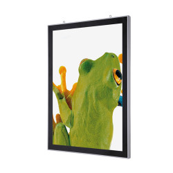 LED magnetic Poster Frame-Illuminated Displays Altumis